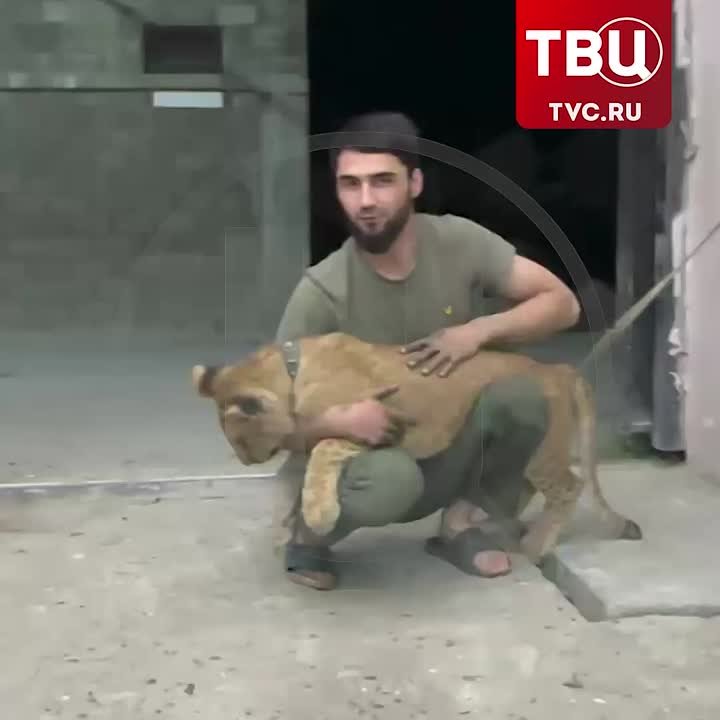 Şir balası saxlayır