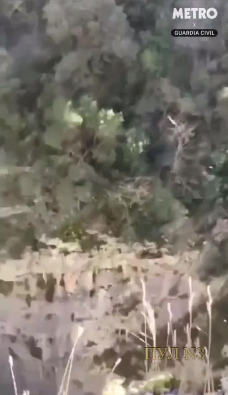 Dərəyə daş atan turist 2000 min cərimələndi