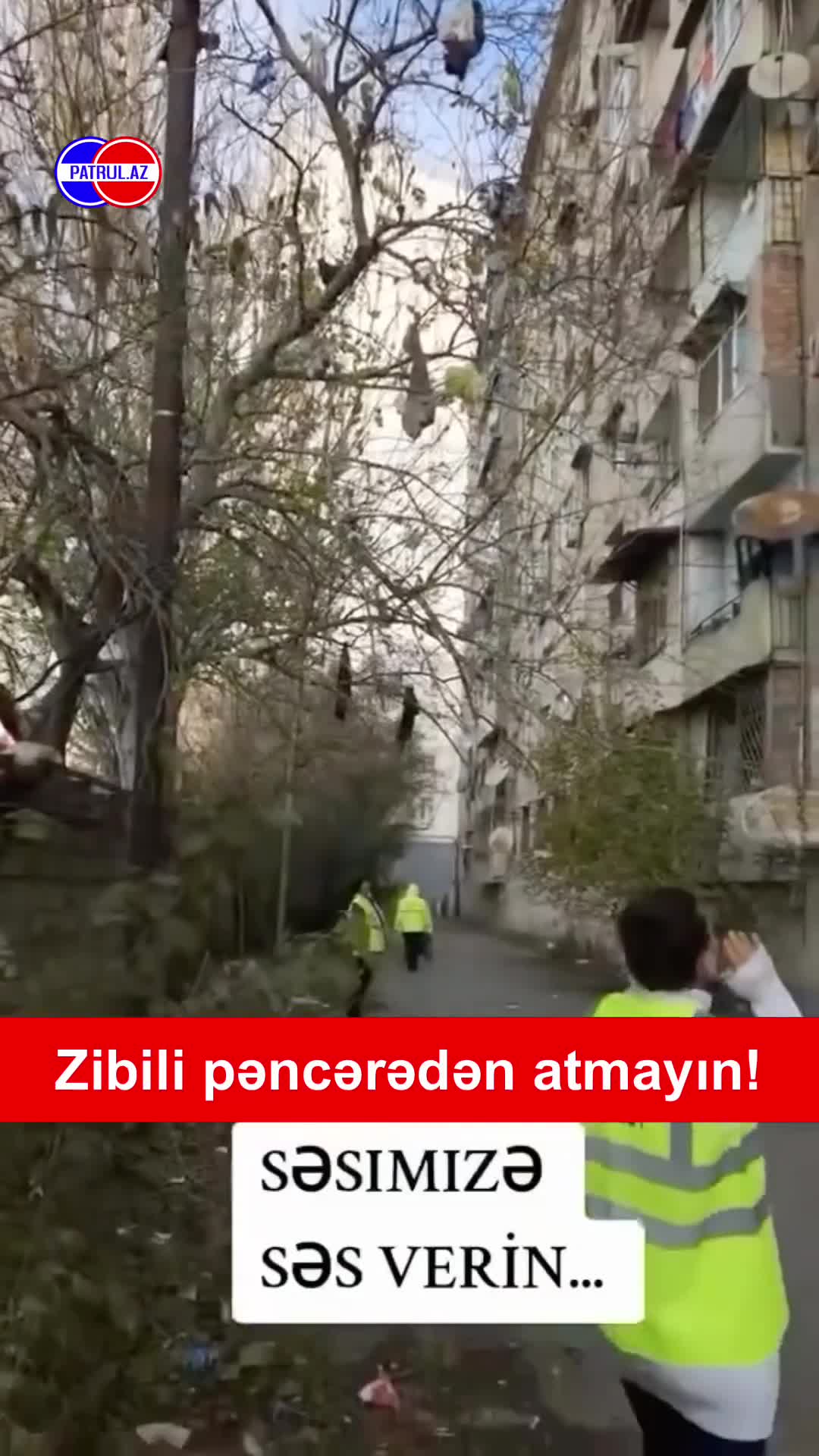 Zibili pəncərədən atmayın!