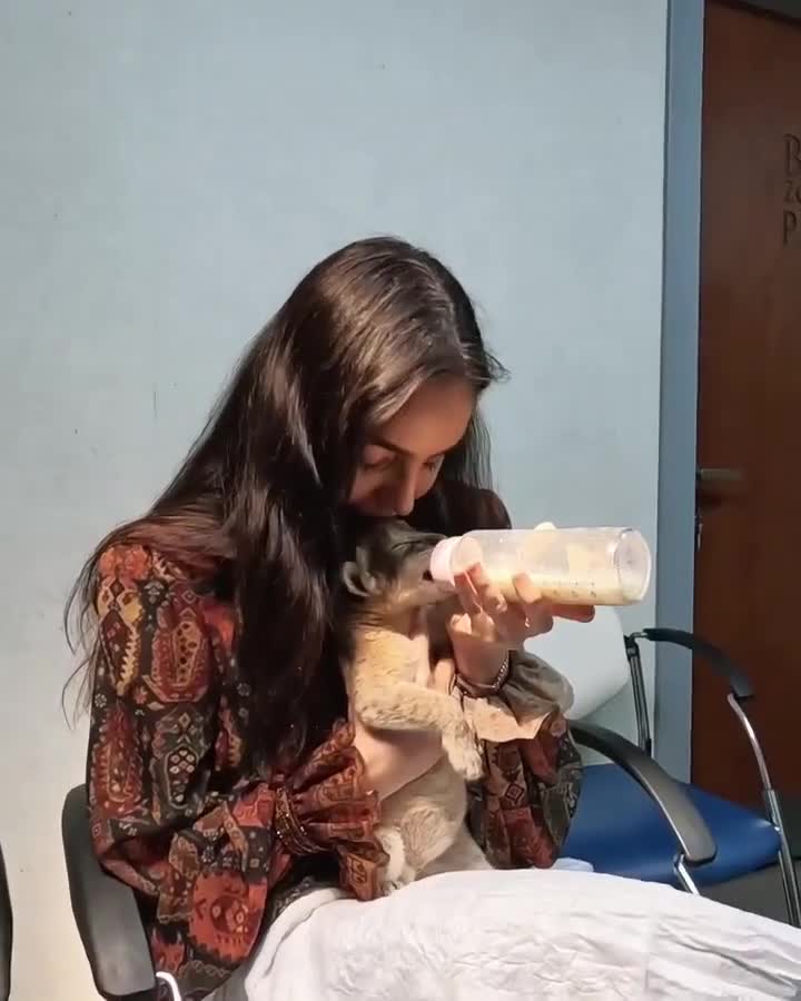 Leyla Əliyevanın şir balası ilə maraqlı görüntüləri