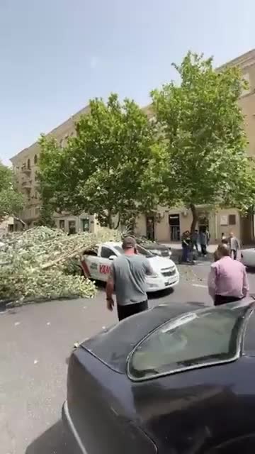Şəhərin mərkəzində ağac hərəkətdə olan maşınların üstünə aşdı