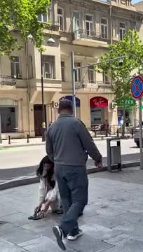 Bakıda qızı küçədə "soyundurub" reklam çəkdilər 