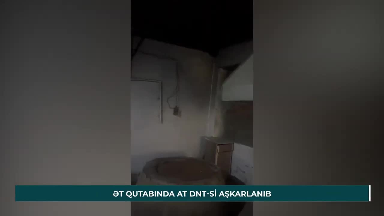 Suraxanıda satılan qutabda at əti aşkarlandı