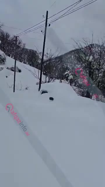 “Ölsək, heç kimin xəbəri olmayacaq” - Pəncəlinin qardaşı