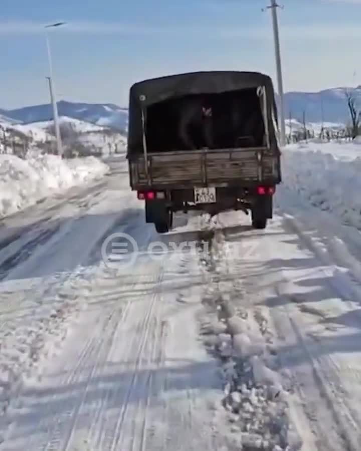 Lerikin icra başçısı xidmət edir, yoxsa şou göstərir? 