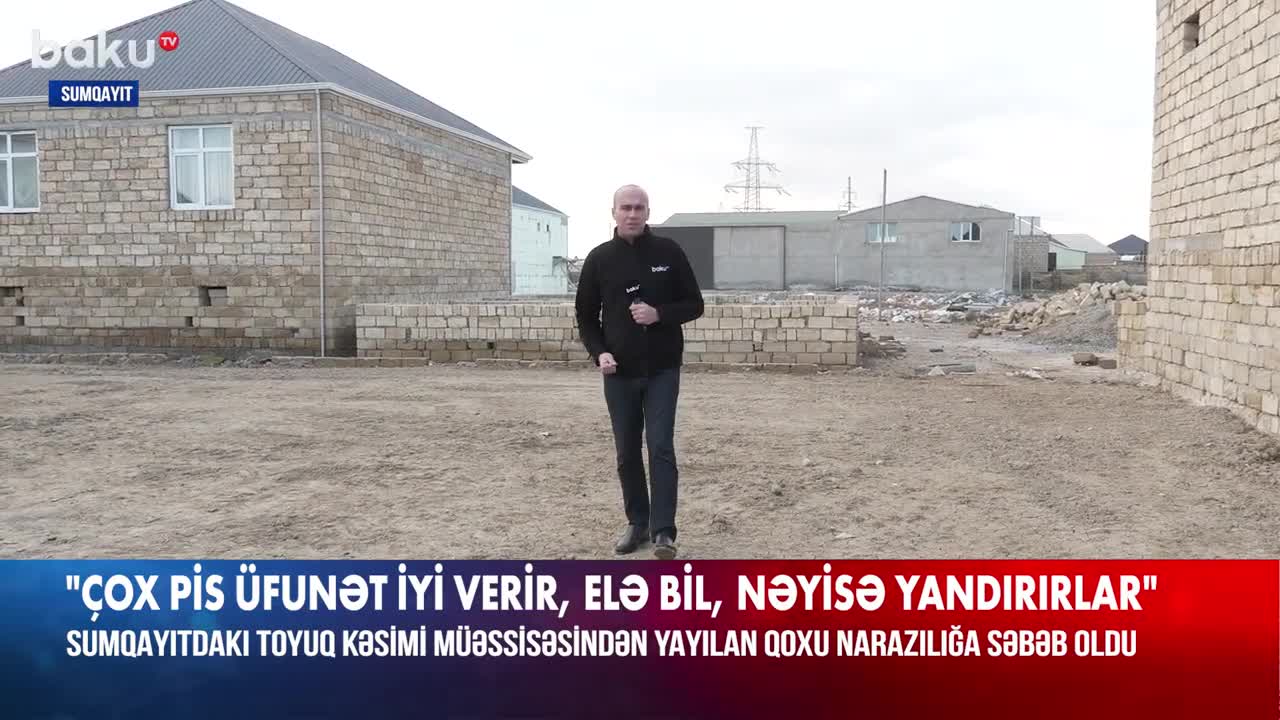 Sumqayıtda sakinlər toyuq fermasından şikayətçidir