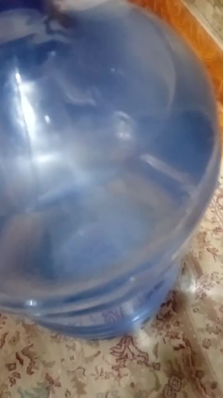 “Yağmur” su firmasının suyundan milçək çıxdı 