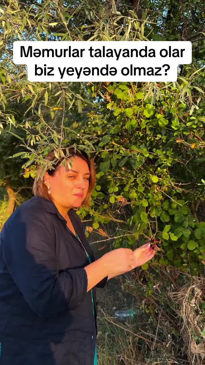Məmurlar talayanda olar, biz yeyəndə yox? 