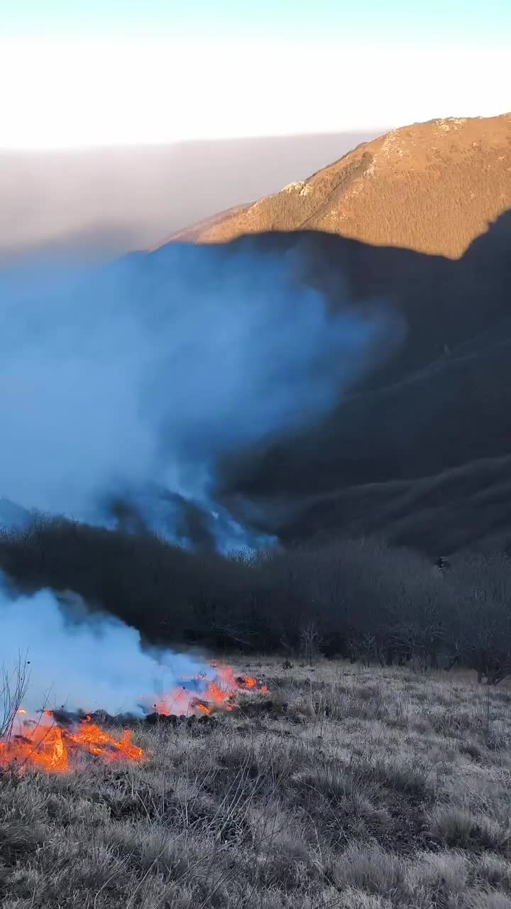 Güney Azərbaycan meşələri yanır
