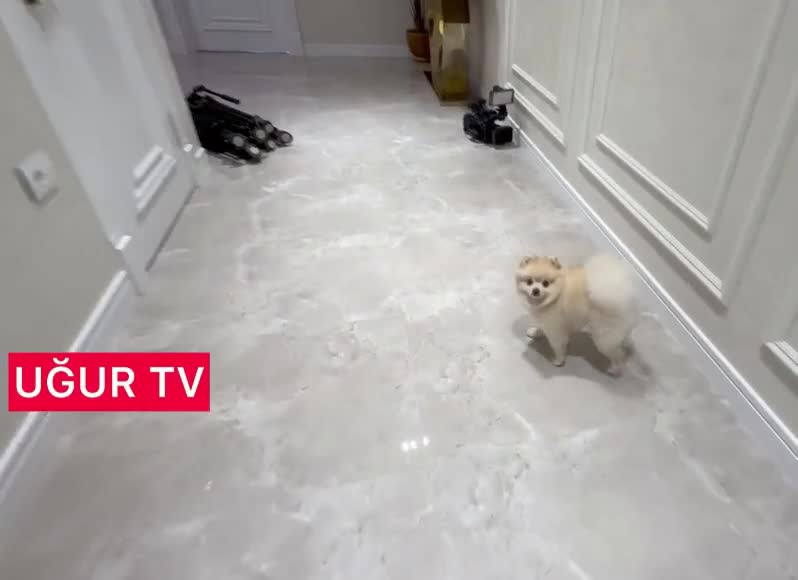 Müğənninin 1 milyonluq evindən görüntülər