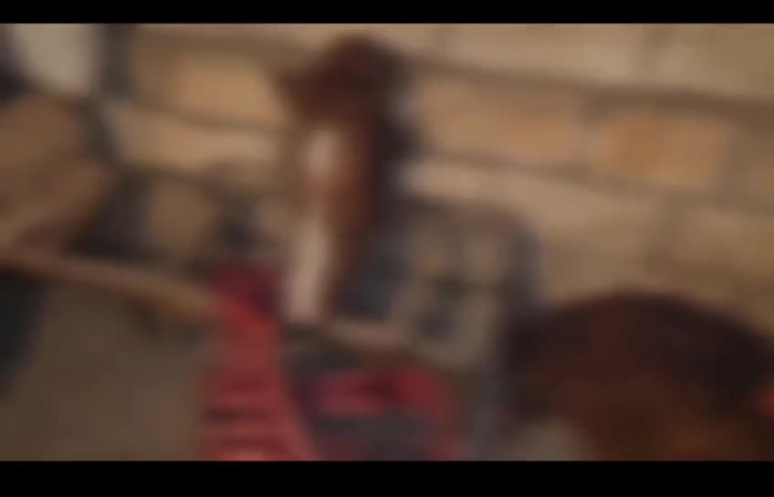 At əti satanlar ələ keçdi