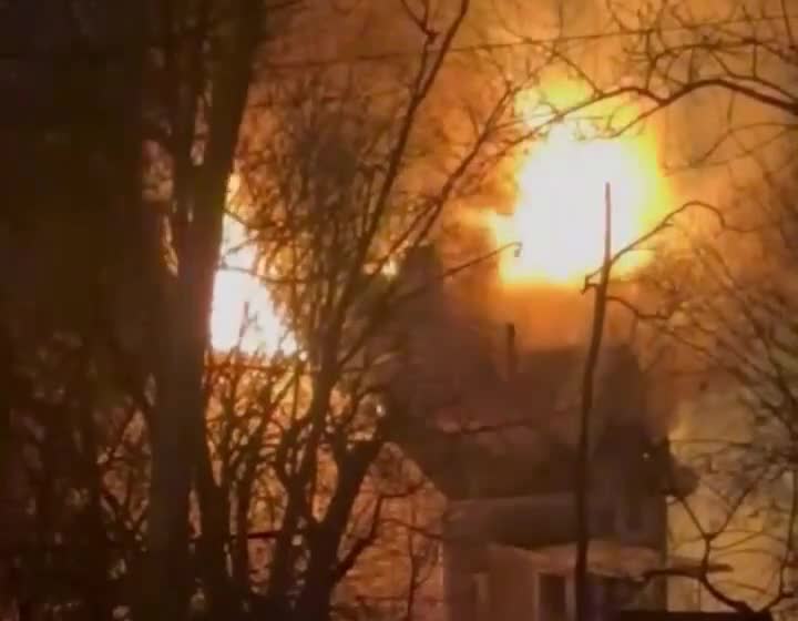 Vladivostokda zoopark yanır