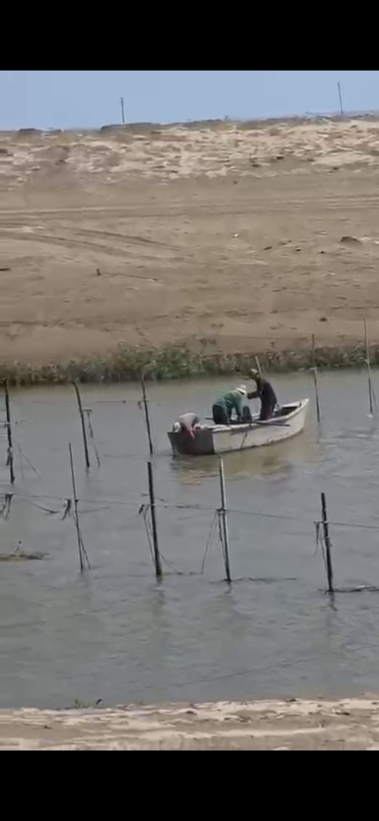 Çaylar və kollektorlar kimlərə satılıb? 