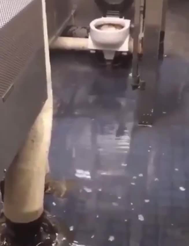 Gəmi tualeti aşdı-daşdı