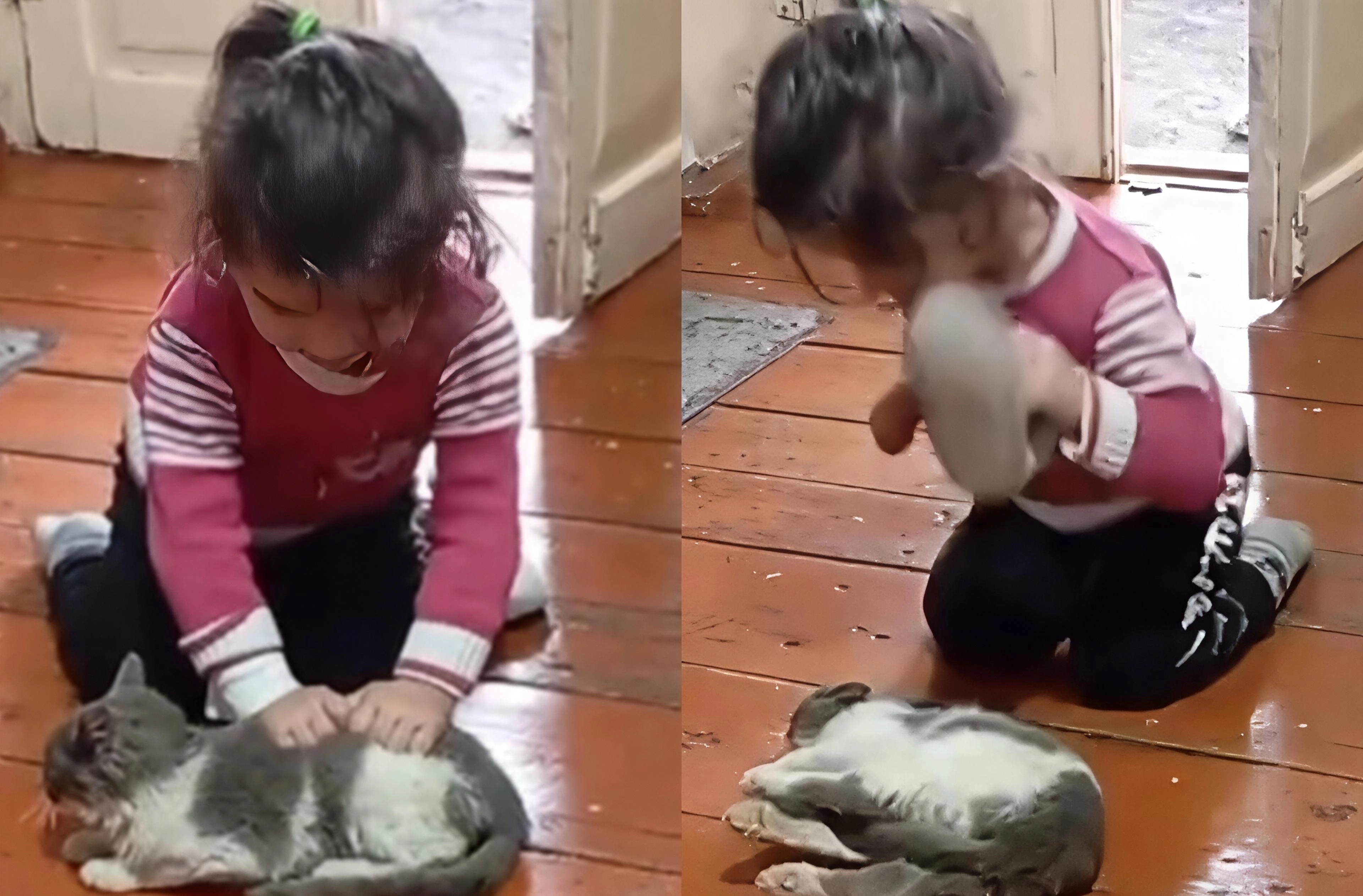 Heyvana işgəncə edən azyaşlı… 