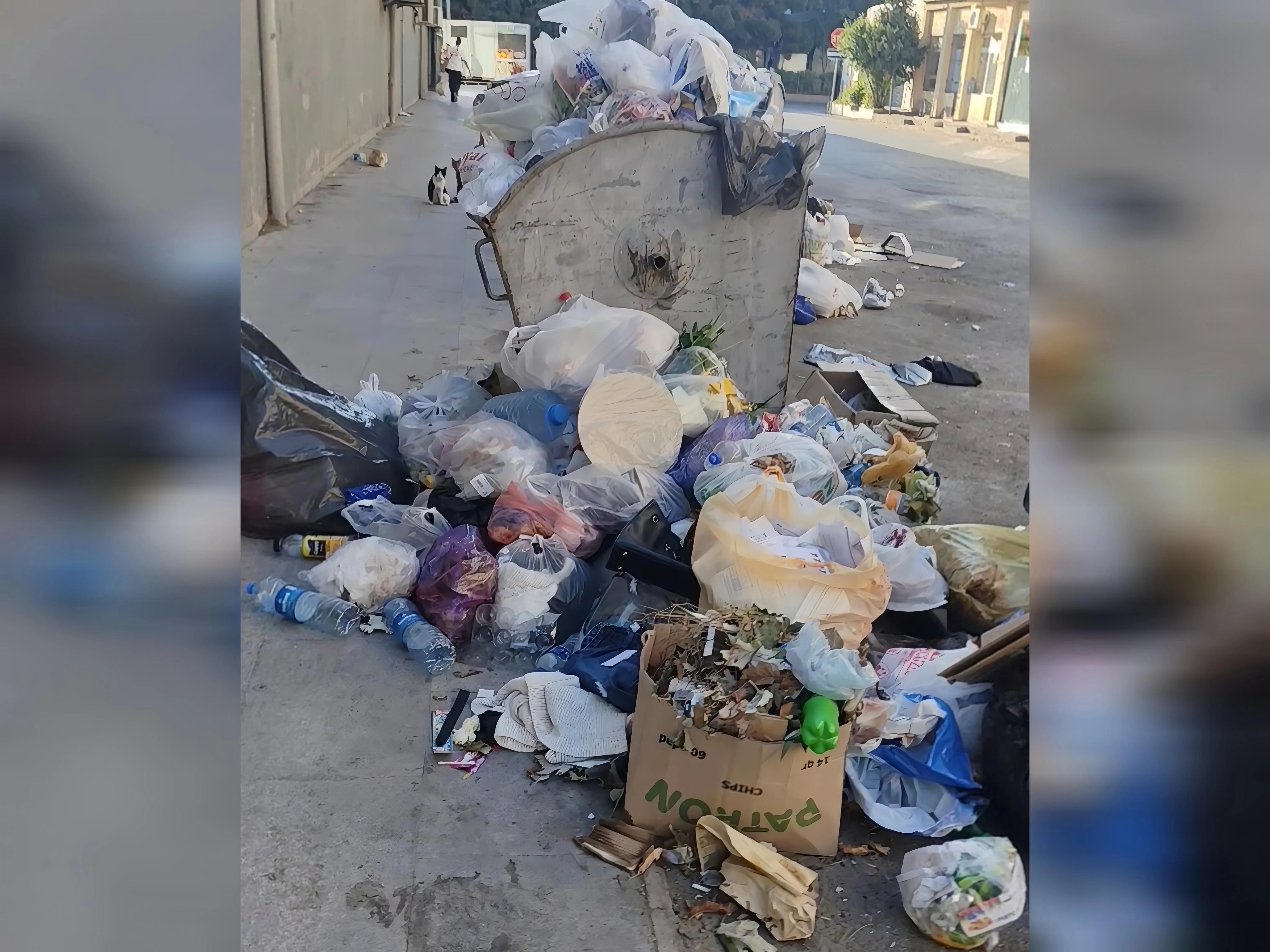 Sumqayıtda antisanitariya