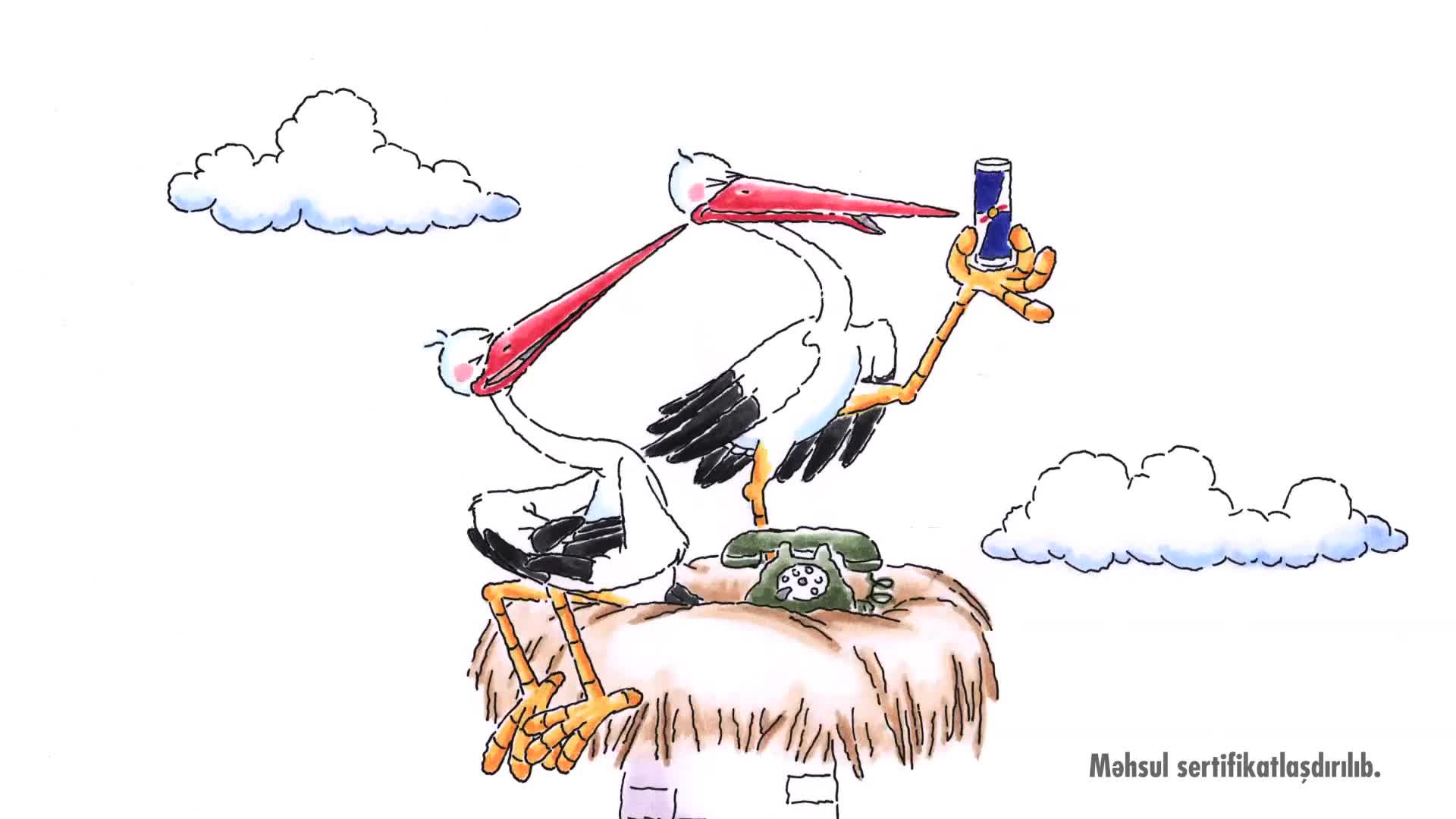 Red_Bull_Stork_15sec_AZ_1920x1080_WEB