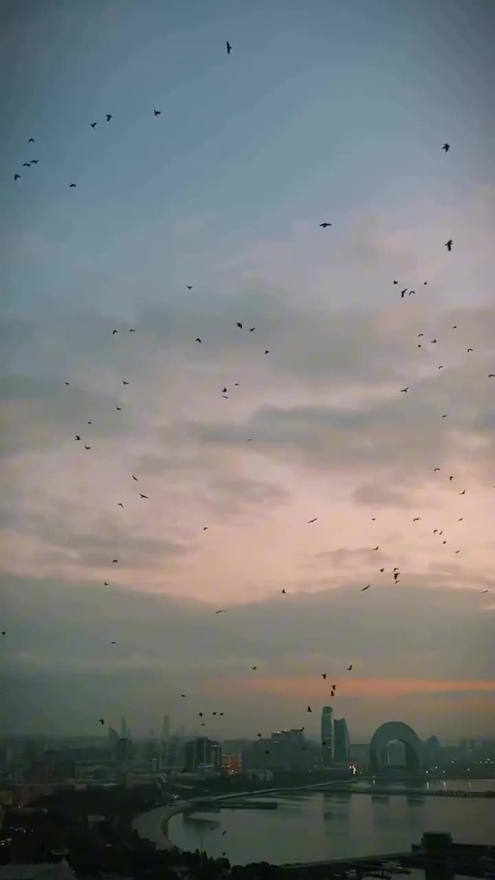 Emin Ağalarov Prezidenti təbrik etdi