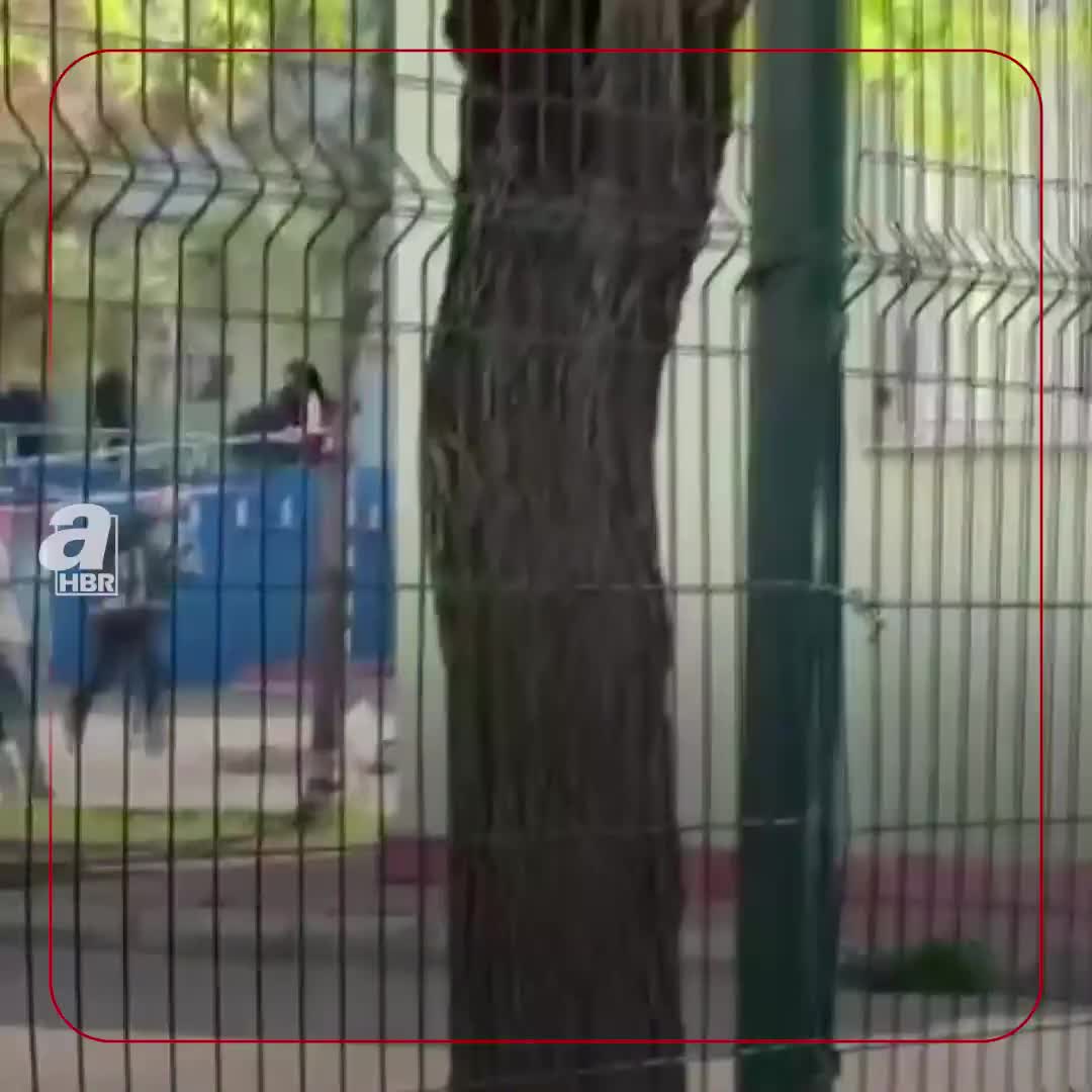 Litseyə silahlı hücum