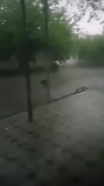 Azərbaycanda gündəm olan görüntülər