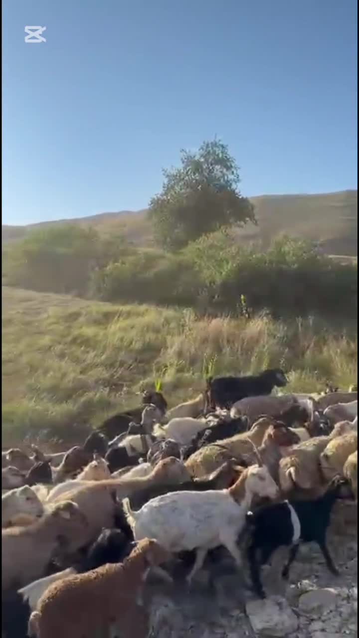 Azərbaycanda belə yer varmış - Təbiətin gizlətdiyi möcüzə