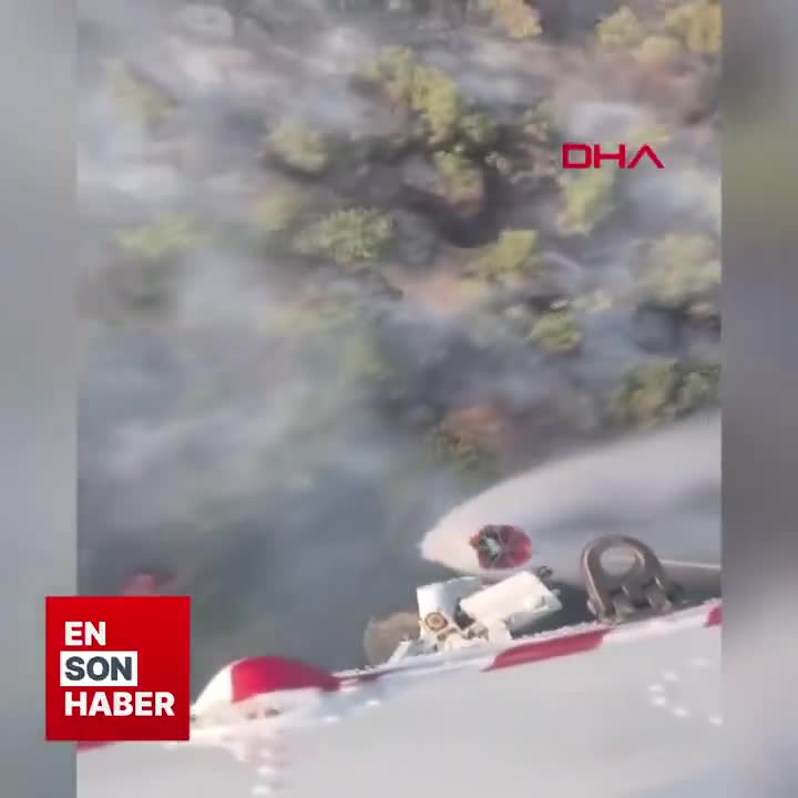 Eskişehirdə meşə yanğını baş verib. 