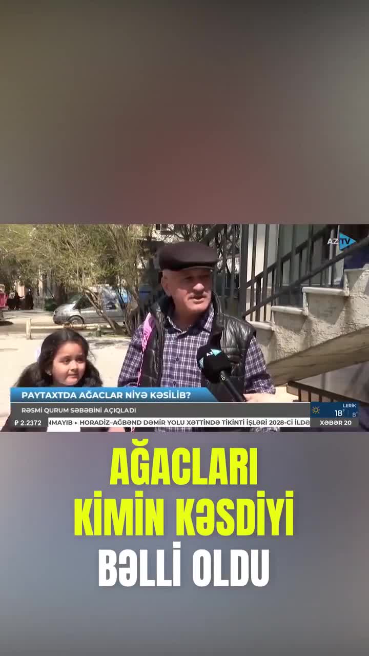 Bakıda 10-dan çox ağac kəsildi - Araşdırma başladı (VİDEO)