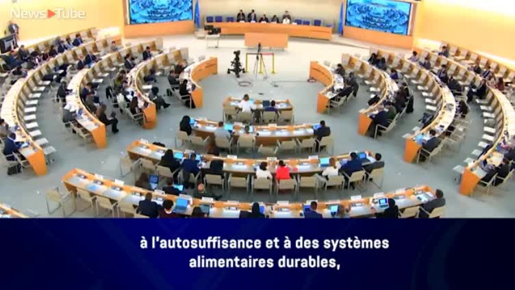 BMT-də müstəmləkələrdəki ərzaq çatışmazlığından danışdı