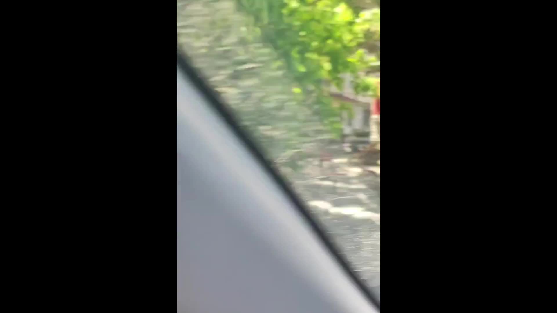 Səkini zəbt edərək kababxana açıblar