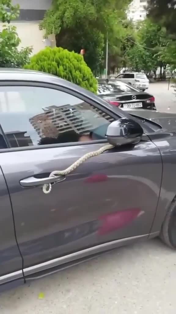 Yasamaldan Bərdəyə 4 saatlıq yolu ilanla getdilər 