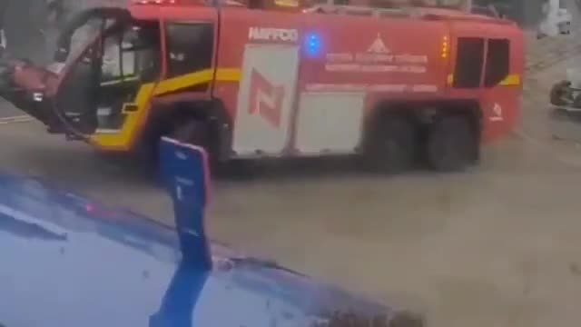 Hindistanda arı sürüsü təyyarəni gecikdirdi