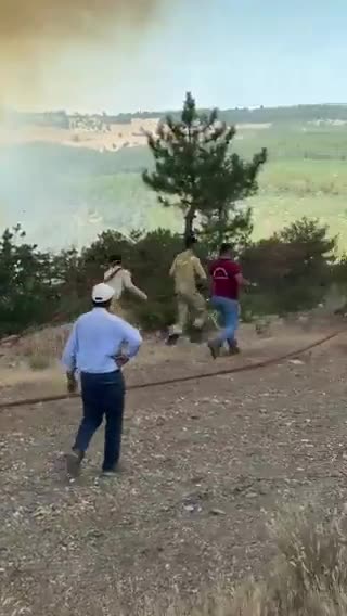 Bursada meşə yanğınları genişlənib