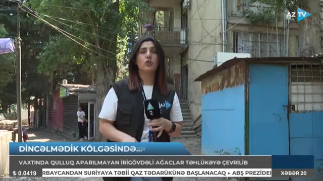 Bu ərazilərdəki ağaclar təhlükə yaradır