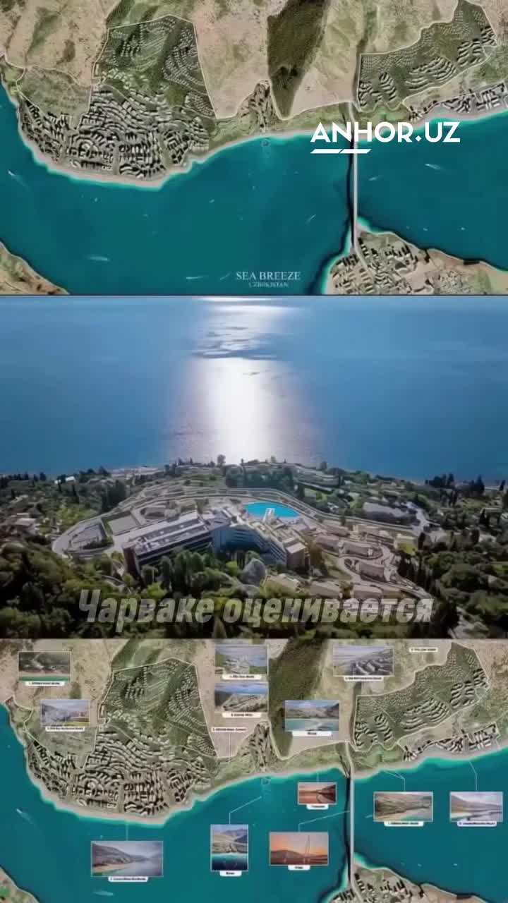Özbəkistanda “Sea Breeze” layihəsinə etirazlar