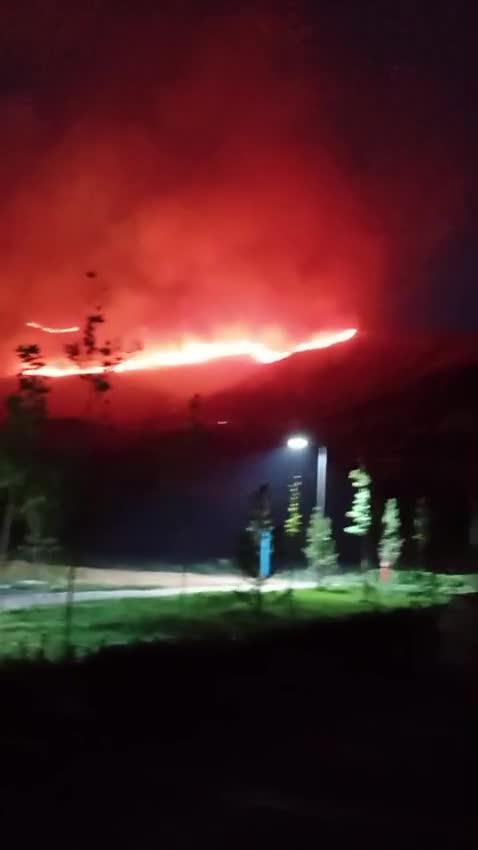 Suqovuşanda meşədə yanğın başlayıb