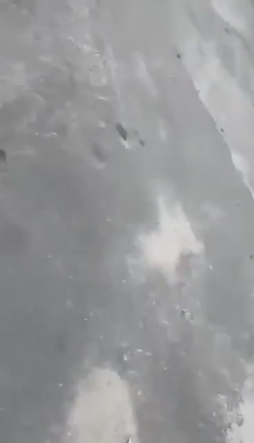 Kiyevdə azərbaycanlı gənc və atası güllələndi