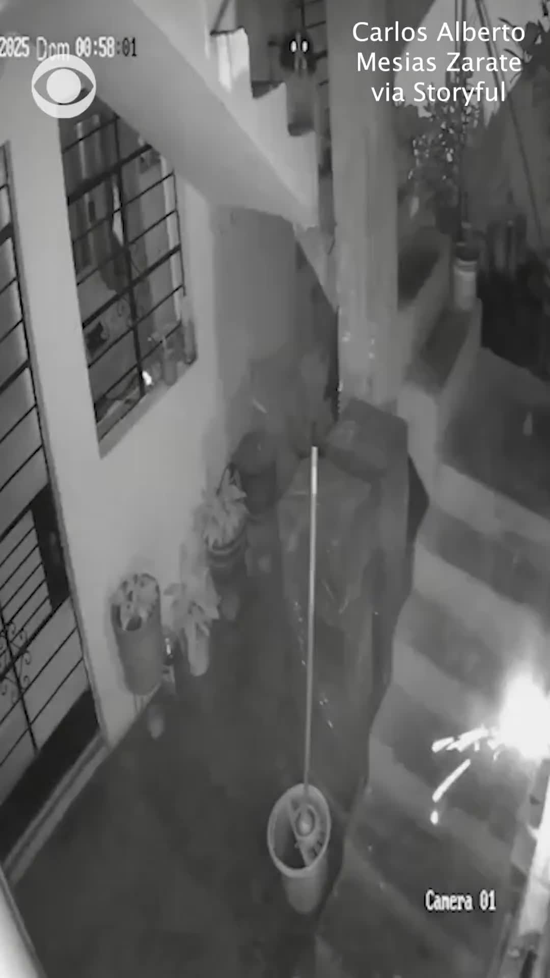 Ölkə bu itdən danışır...