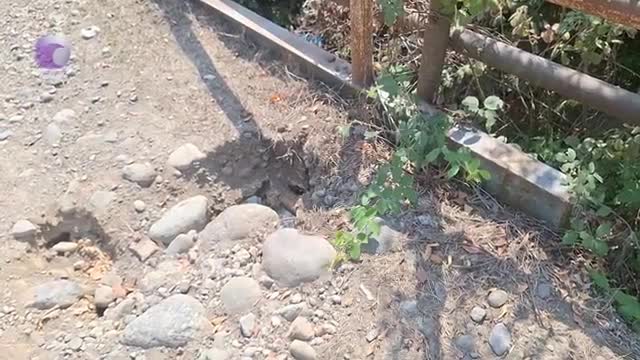 “3 ildir ki, körpü bu vəziyyətdədir, yağış yağan kimi su basır”