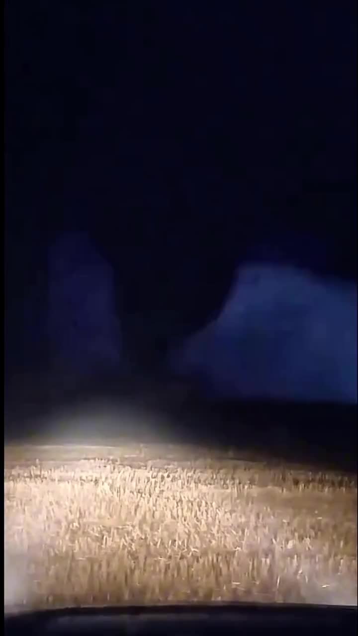 Braziliyada qasırğa dağıntılar törətdi