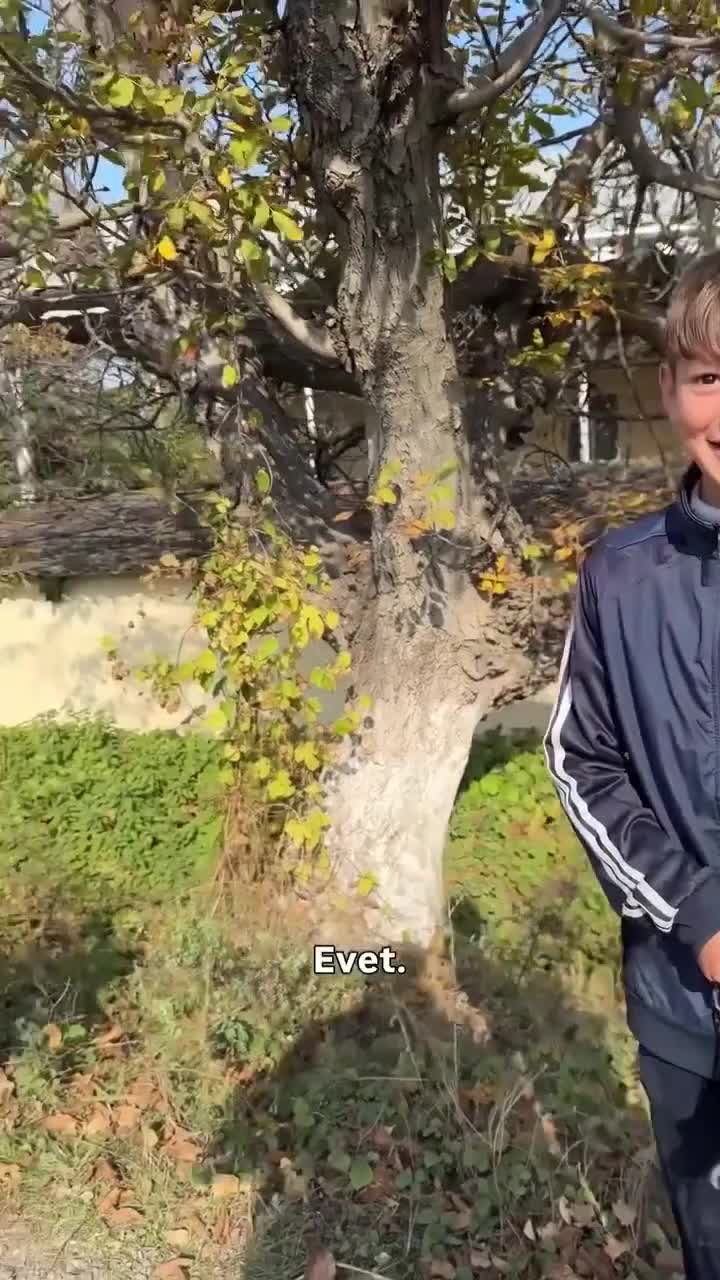 Türkiyəli yutuberin azərbaycanlı uşaqlarla səmimi anları