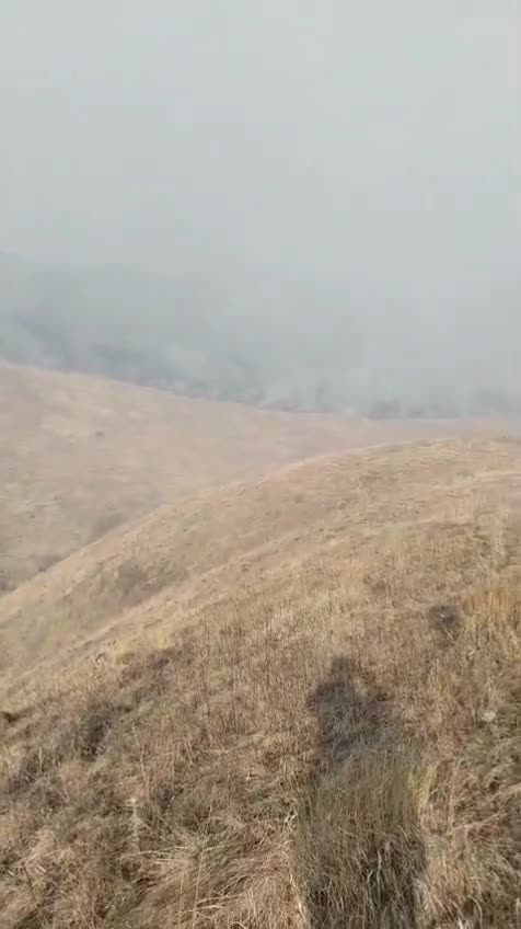 Kəlbəcərdəki yanğın Laçına keçdi