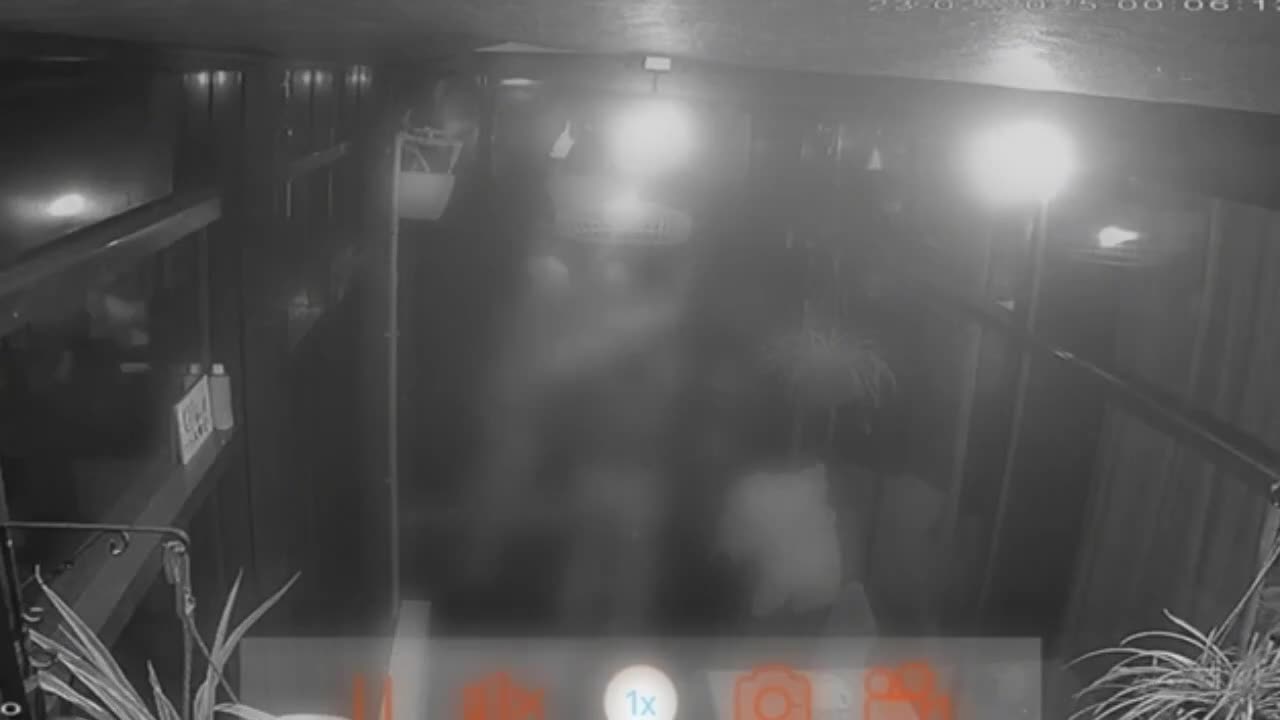 Azərbaycanlı barda 2 nəfəri bıçaqladı