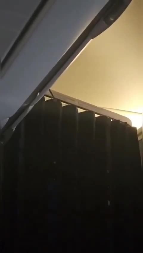 Təyyarəyə siçan girdi, 36 saat axtardılar