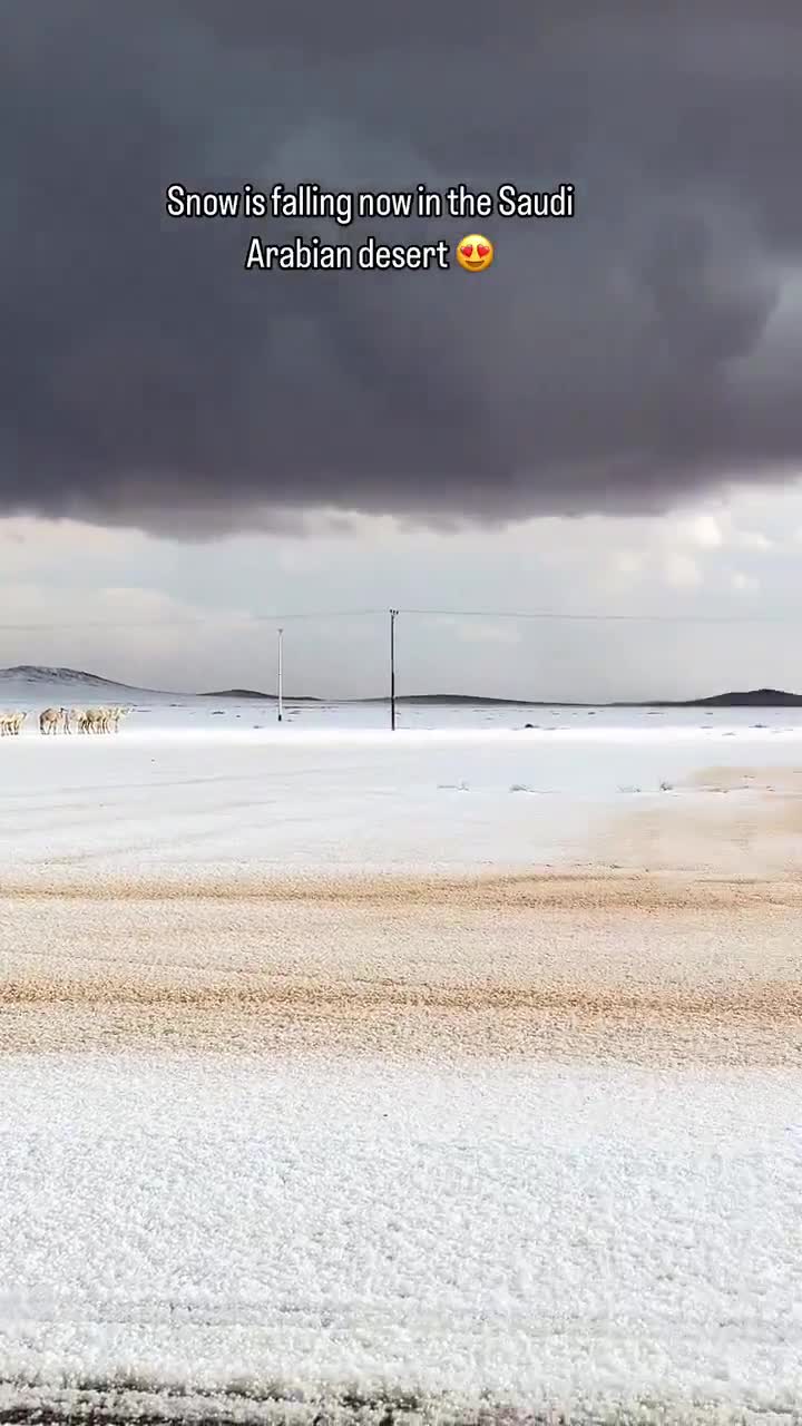 Səhrada 30 ildən sonra ilk qar... - 2