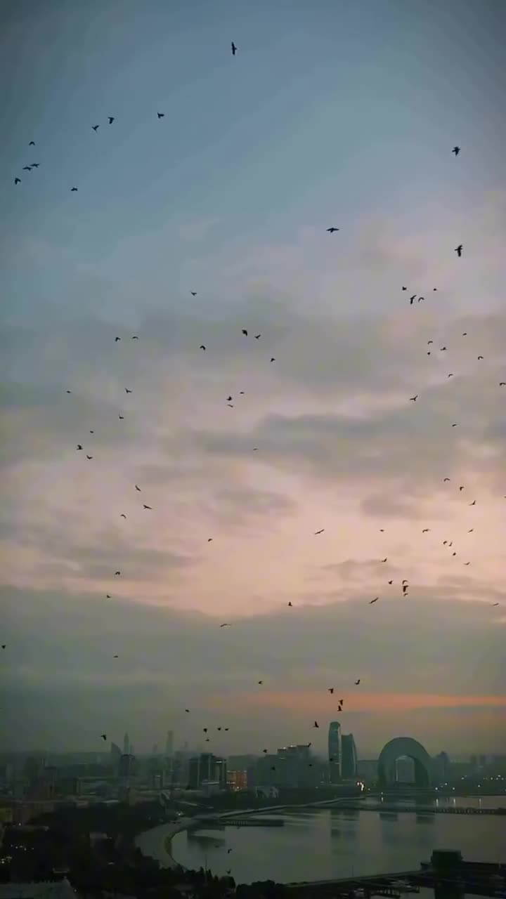 Emin Ağalarov Prezidenti təbrik etdi