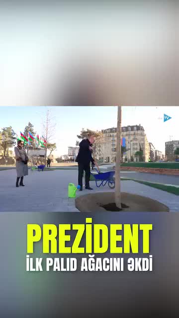 Prezident bu parkda ilk palıd ağacını əkdi