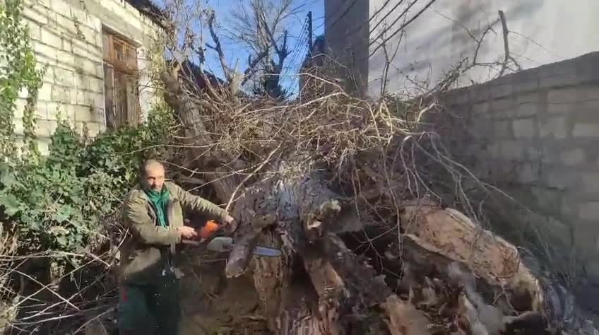 Külək 8 ağacı sındırdı