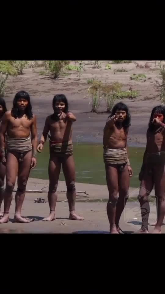 İlk dəfə kamera görürlər...