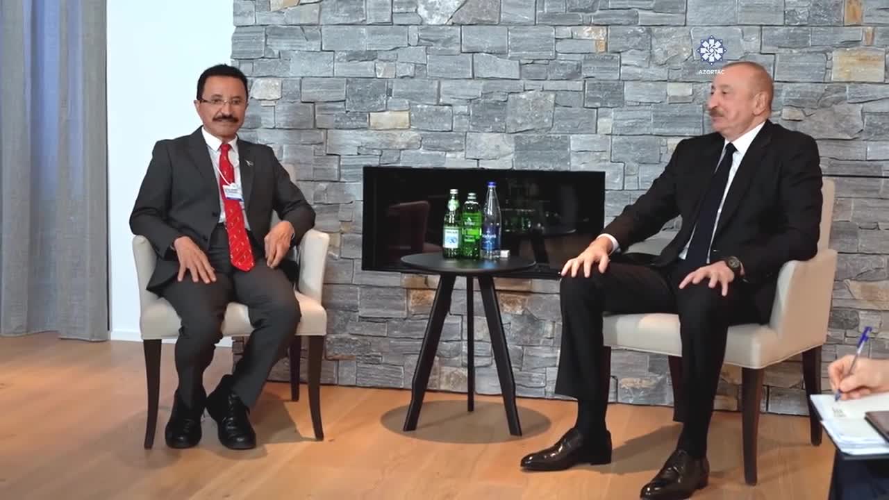 Prezident “DP World”un sədri və icraçı direktoru ilə görüşüb