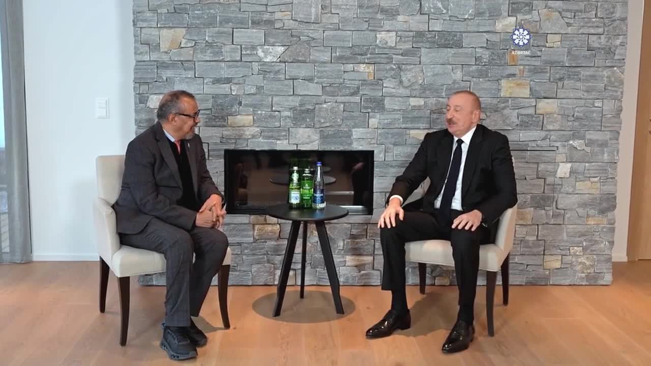 Prezident ÜST-nin Baş direktoru ilə görüşüb